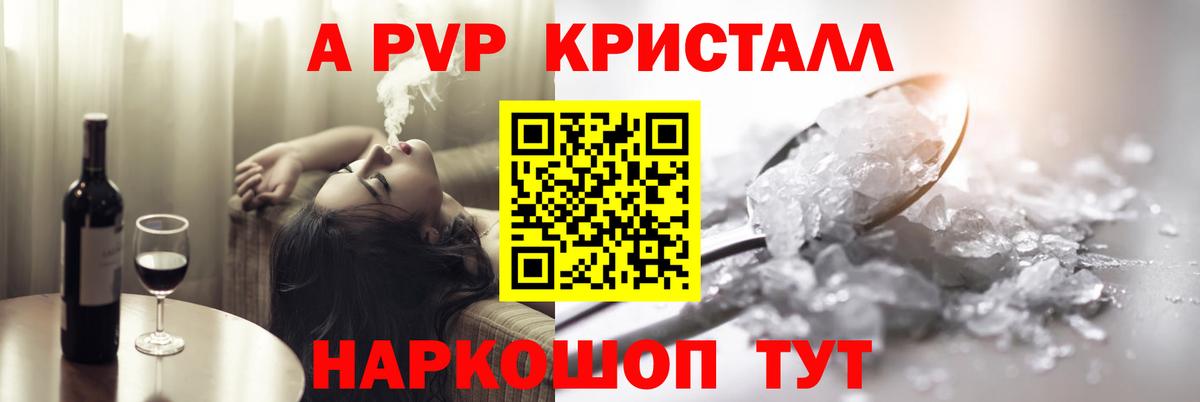 A PVP СК Гатчина