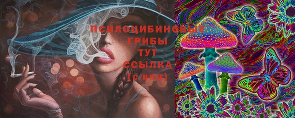 МДПВ Богданович