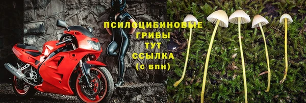 спайс Богородицк