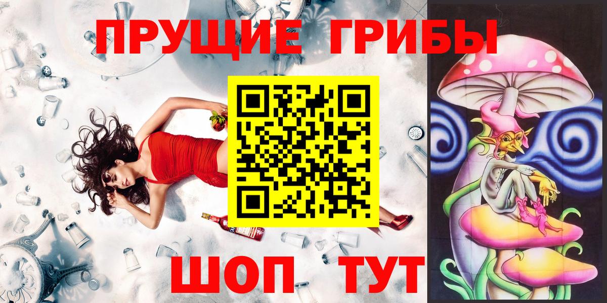 Галлюциногенные грибы Cubensis Гатчина