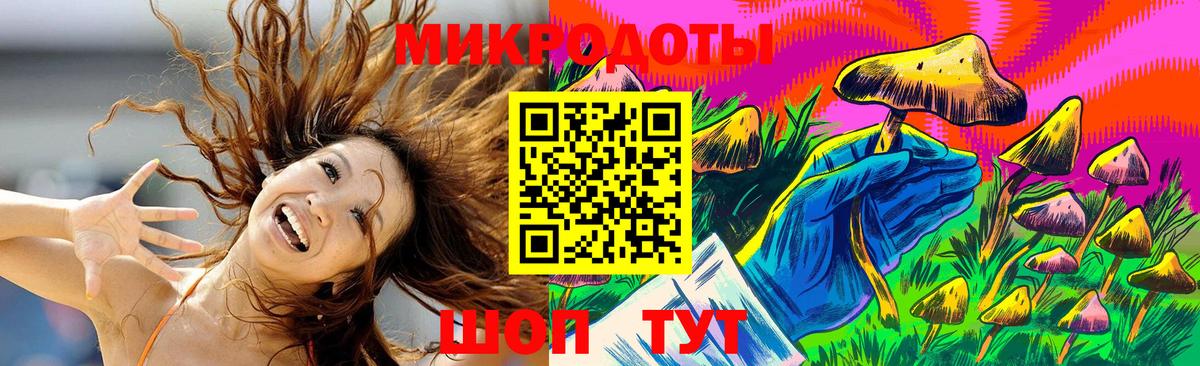 Псилоцибиновые грибы MAGIC MUSHROOMS  Псилоцибиновые грибы Cubensis  Гатчина  Вход с VPN 