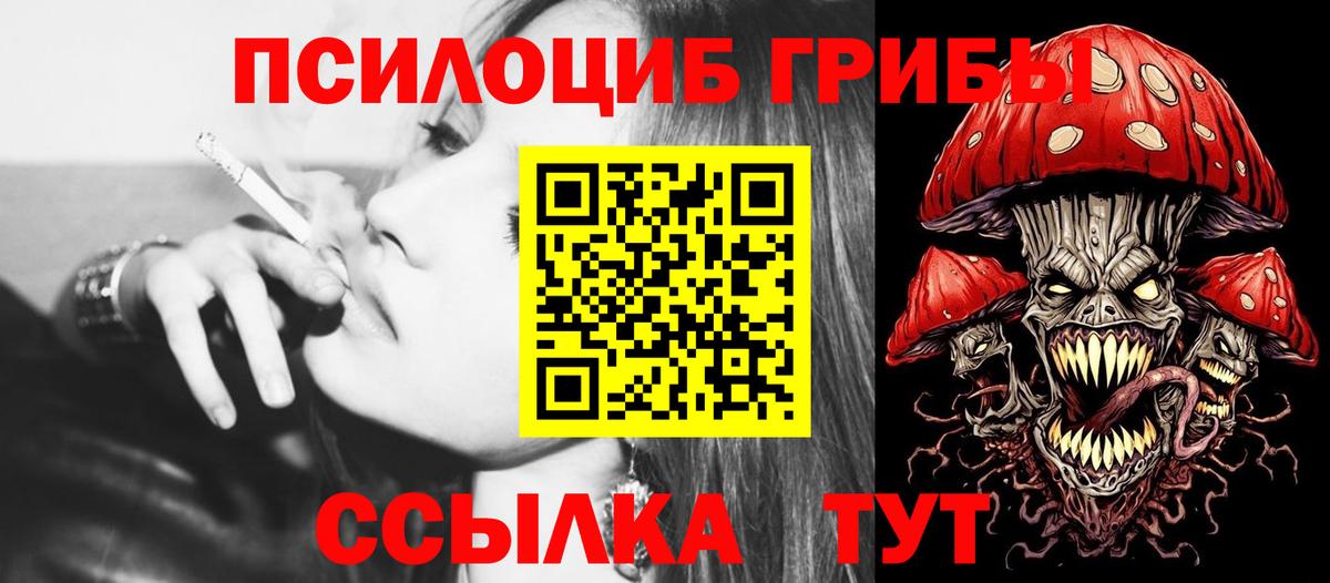 хочу   Галлюциногенные грибы Cubensis  Гатчина  Псилоцибиновые грибы Psilocybe 