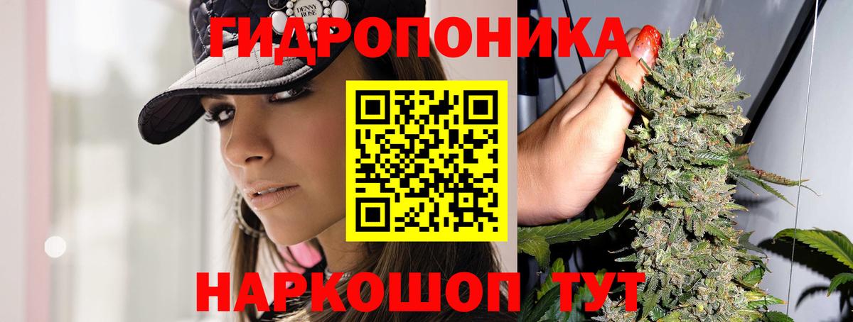Конопля план  МАРИХУАНА ГИДРОПОН  Гатчина  Бошки Шишки LSD WEED  Конопля White Widow 